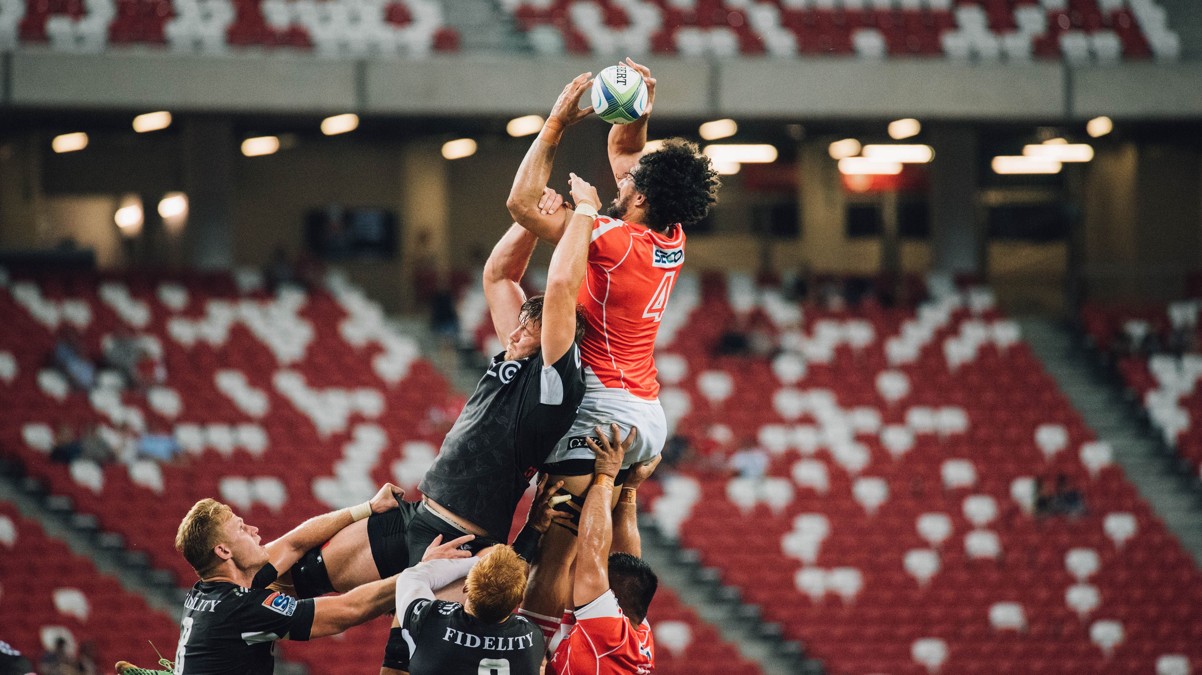 史上最大“黑马逆袭”：从边缘到巅峰的神奇转变，最大的黑马英文