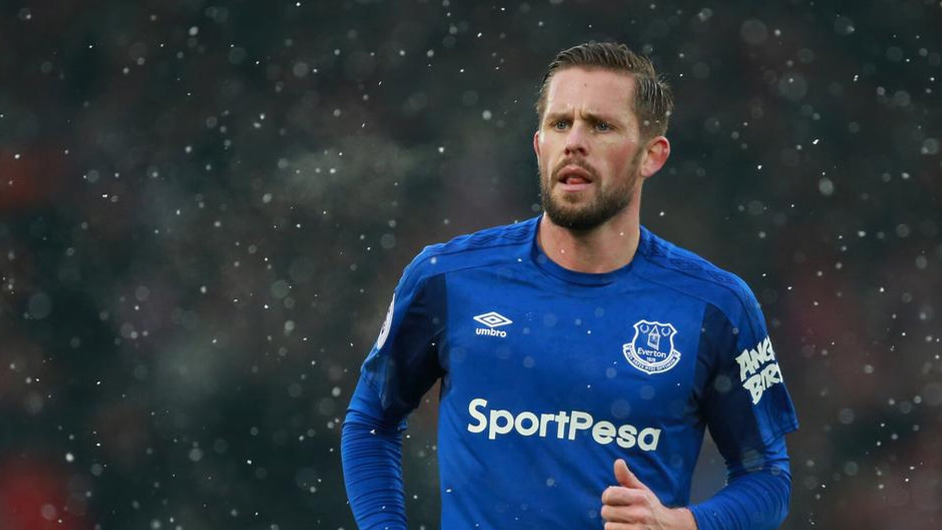 忠实球迷:他们的故事和联盟中的特殊贡献,忠实的球迷还是忠诚的球迷